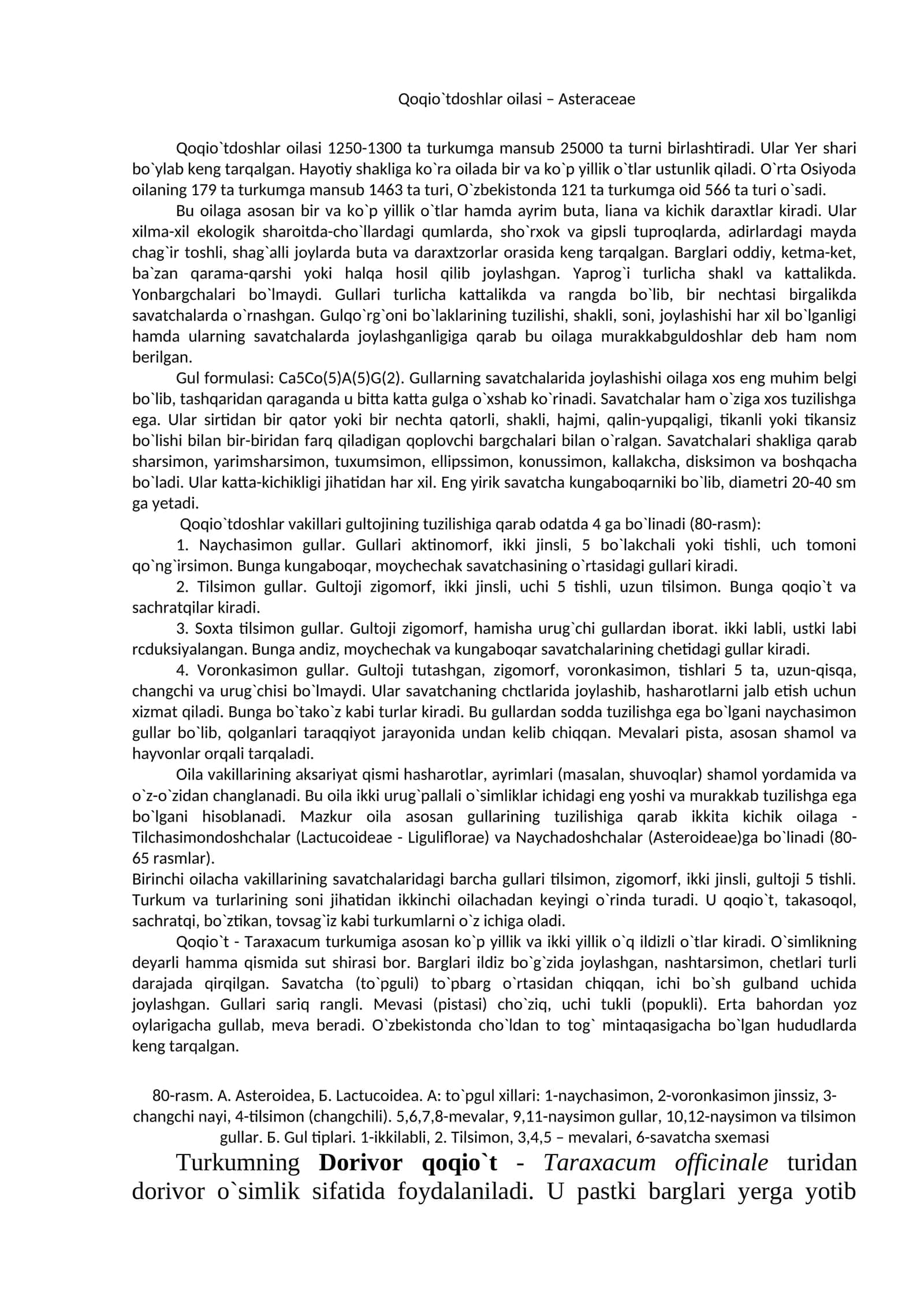Qoqio`tdoshlar oilasi – Asteraceae 1