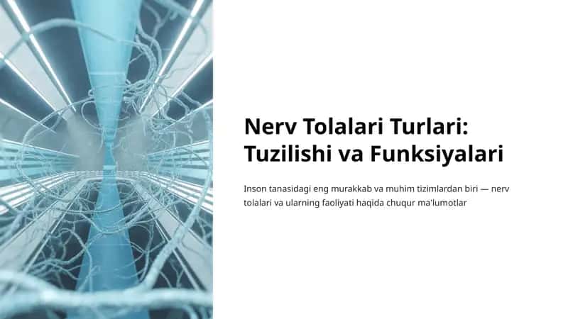 Nerv Tolalari Turlari: Tuzilishi va Funksiyalari 1