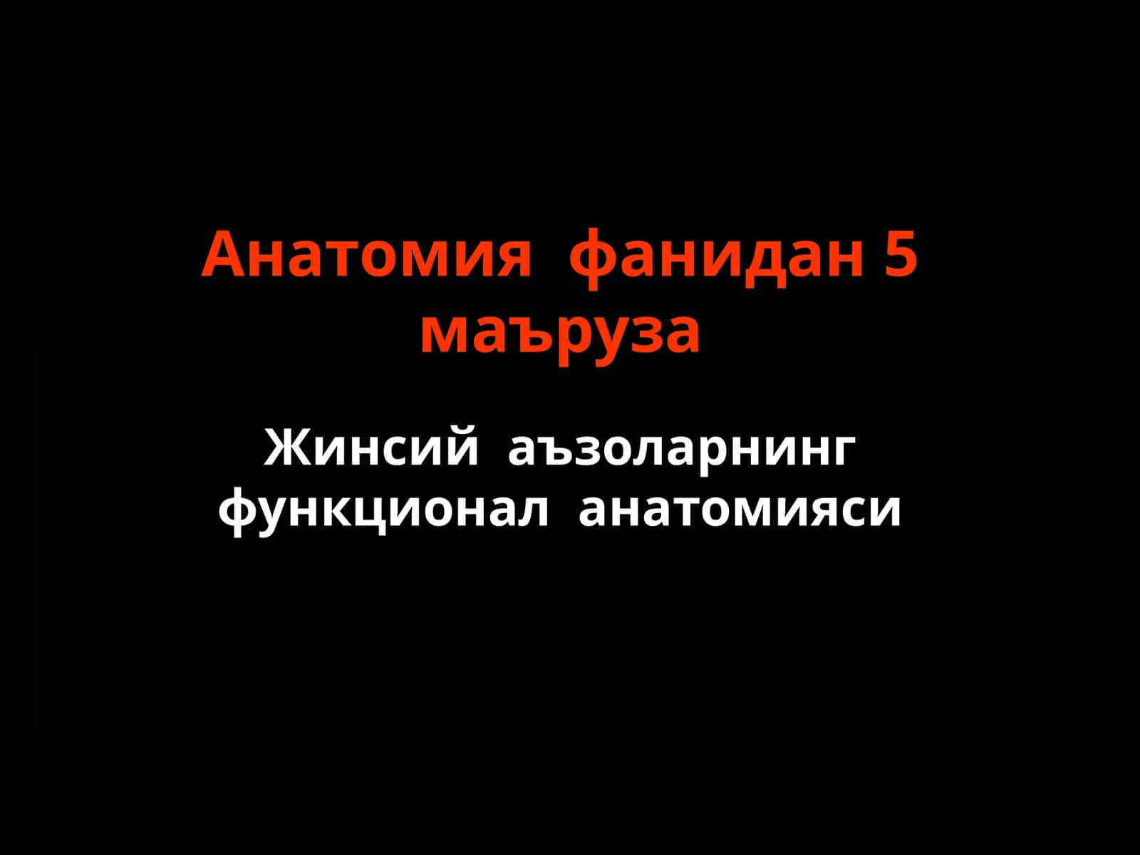 Жинсий аъзоларнинг функционал анатомияси 1
