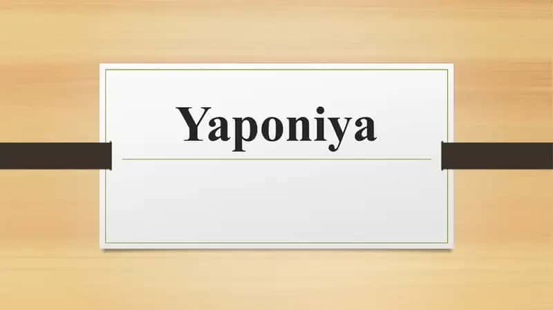 Yaponiya haqida slayd prezentatsiya 1