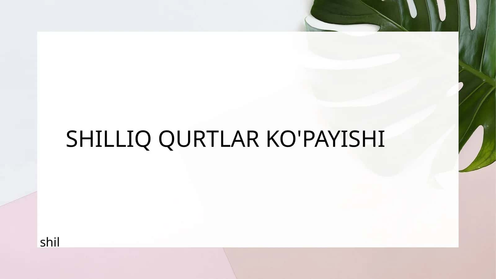 SHILLIQ QURTLAR KO'PAYISHI 1
