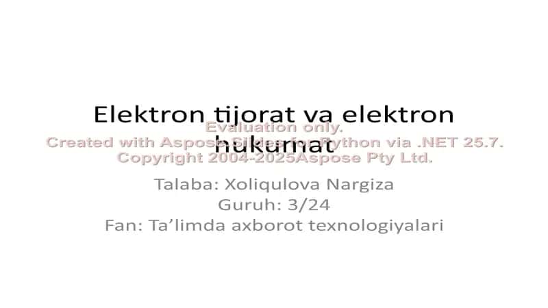 Elektron tijorat va elektron hukumat 1