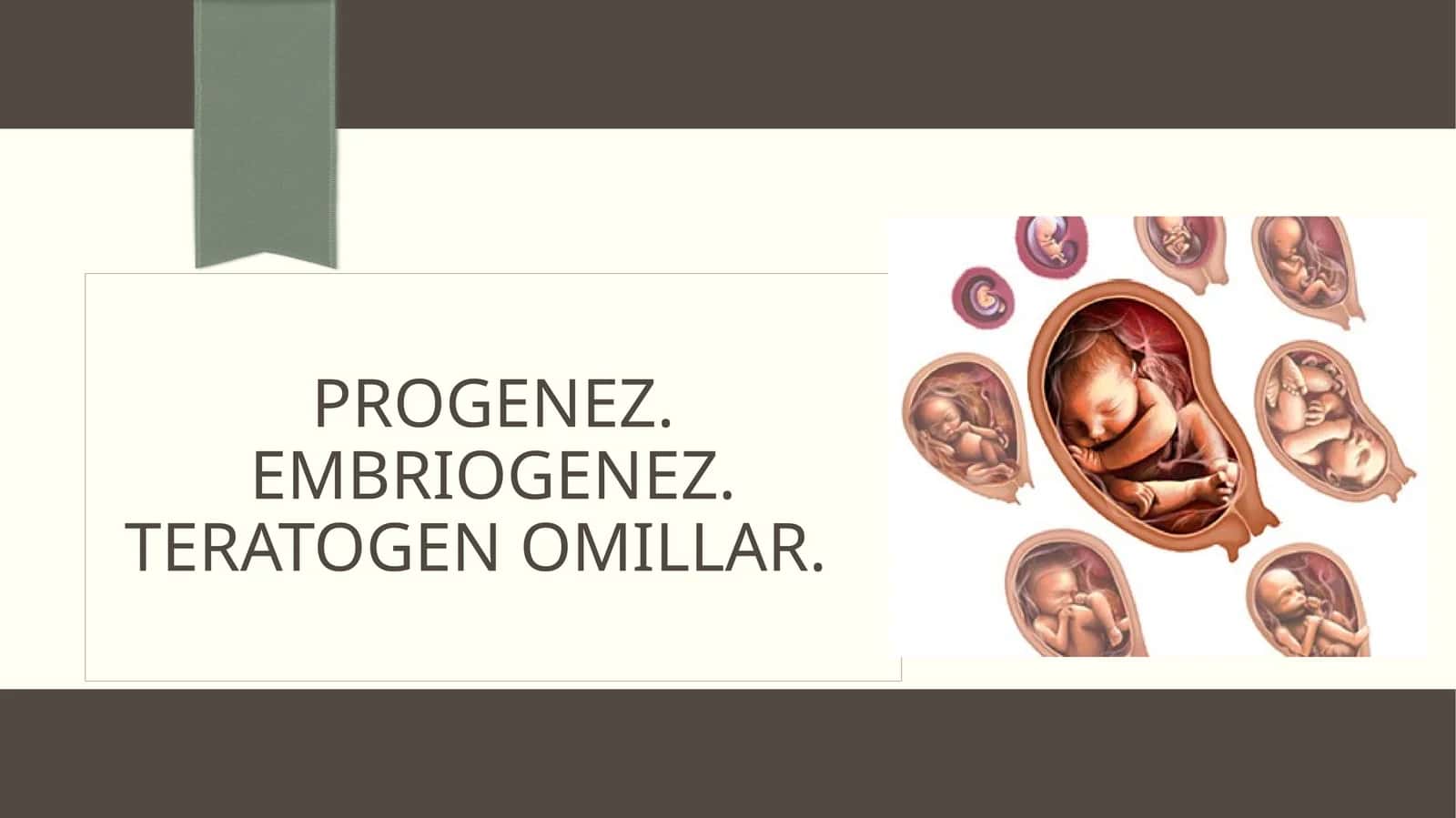 Progenez va EmbrIogenez 1