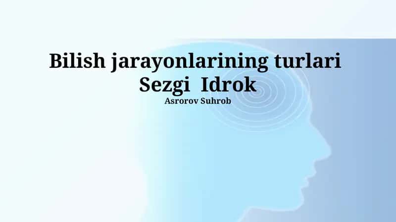 Sezgi va Idrok: Ta'riflar va Turlari 1