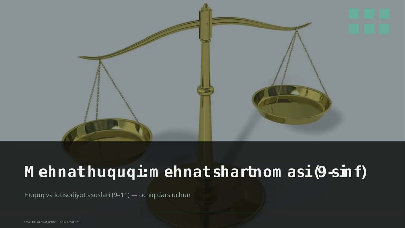 Mehnat huquqi: mehnat shartnomasi (9-sinf) 1