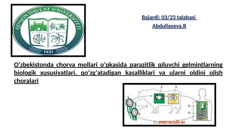 Bajardi: 03/23talabasi 1