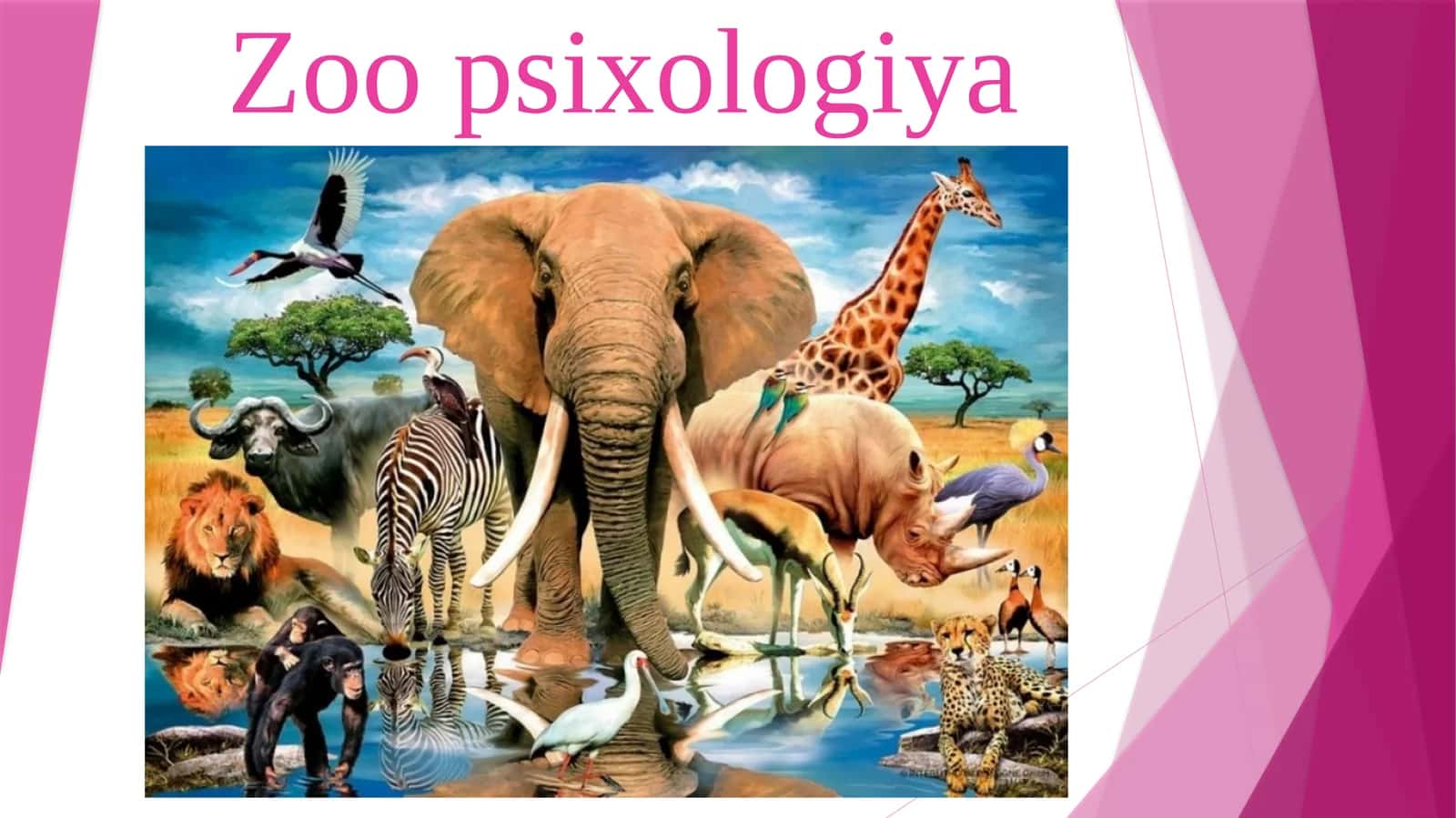 Zoo psixologiya 1