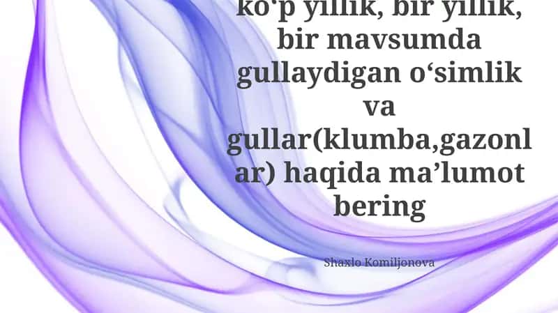 Mavsumiy Gulzor Dizayni 1