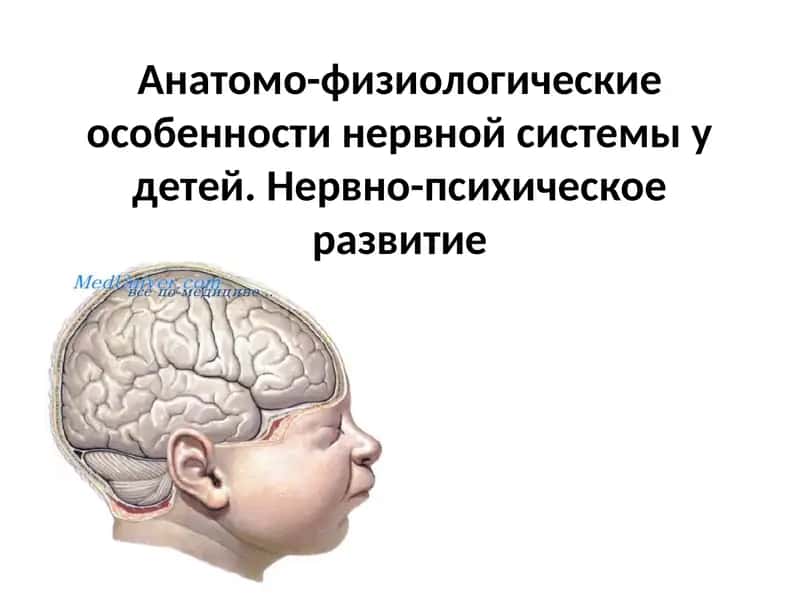 НЕРВНО-ПСИХИЧЕСКОЕ РАЗВИТИЕ РЕБЕНКА 1