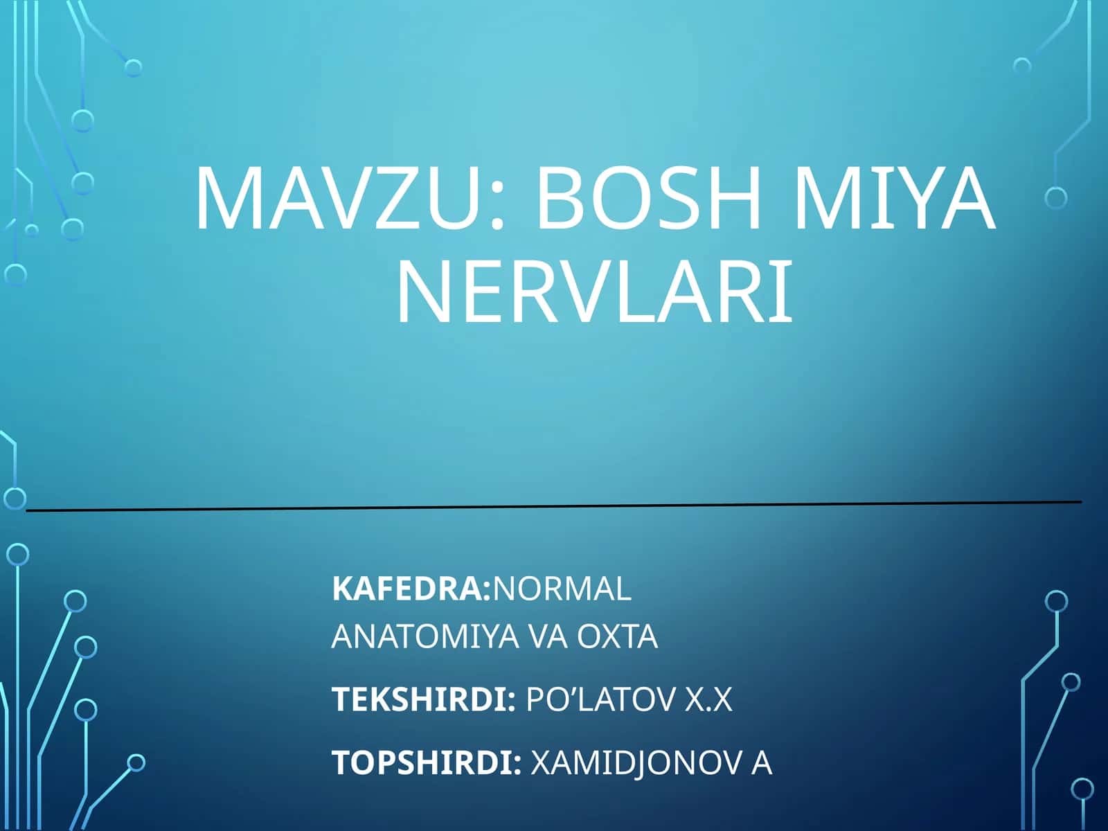 Boshmiyanervlari 1