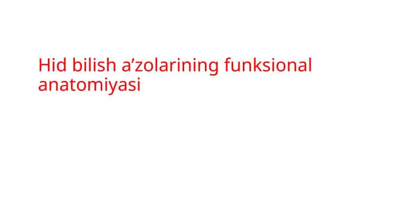 Hid bilish a’zolarining funksional anatomiyasi 1