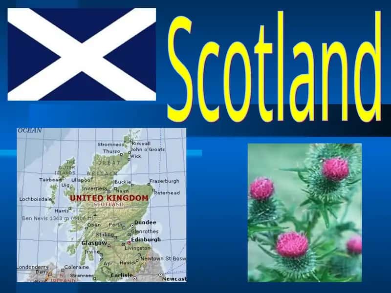Scotland 1