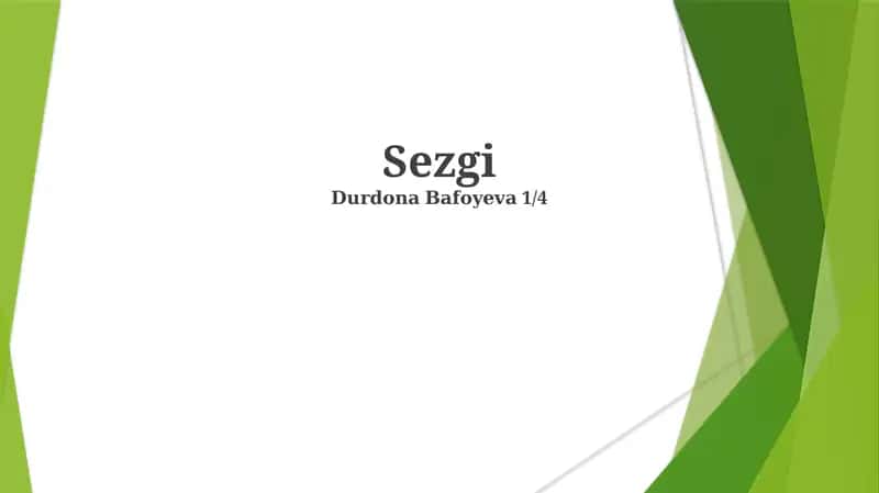 Sezgi 1