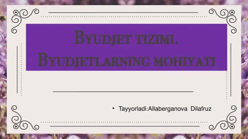 Byudjet tizimi.Byudjetlarning mohiyati. 1