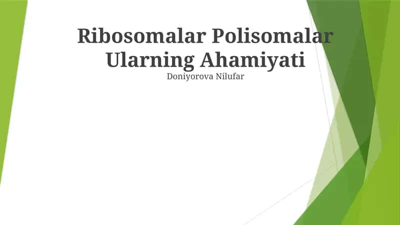 Ribosomalar Polisomalar Ularning Ahamiyati 1