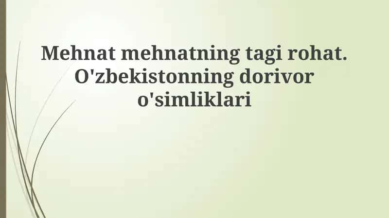 O'zbekistonning dorivor o'simliklari 1