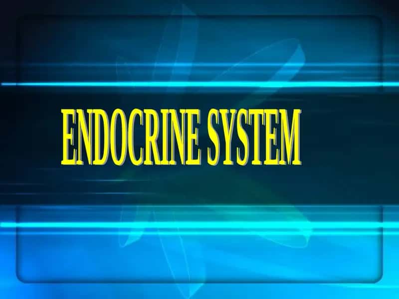ENDOKRINOLOGIK TIZIM 1
