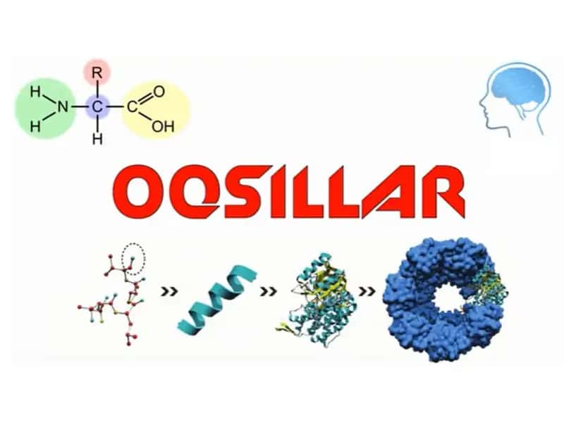 OQSILAR 1