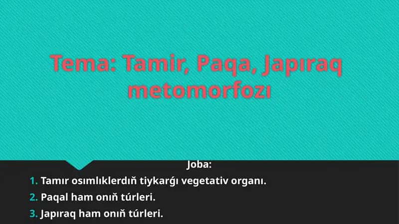 Tamir, Paqa, Japıraq metomorfozı 1