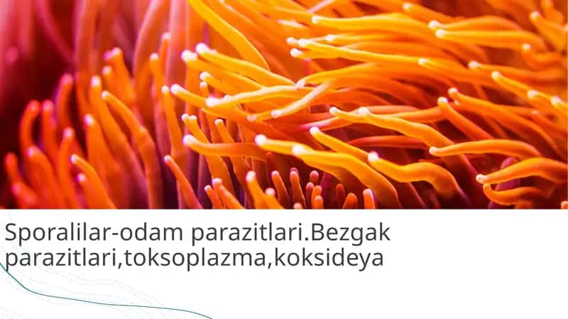 Kirish. Sporalilar-odam parazitlari 1