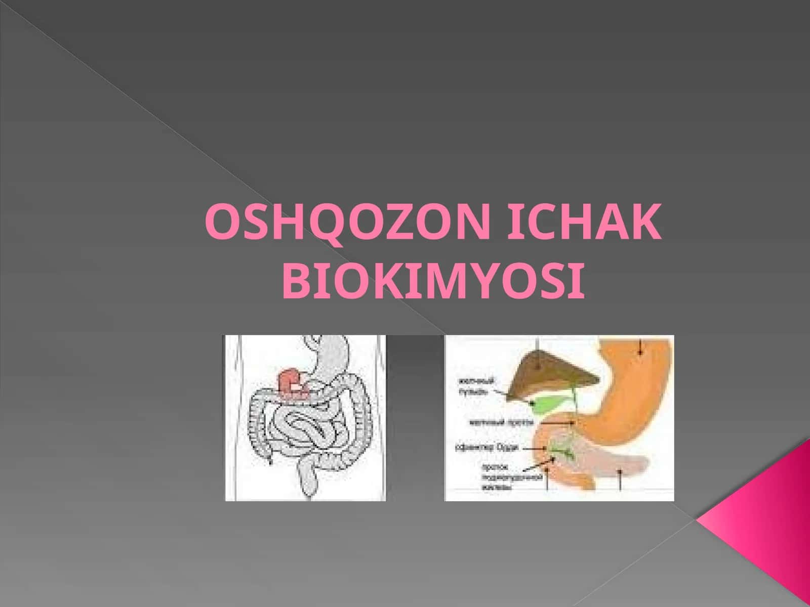 OSHQOZON ICHAK BIOKIMYOSI 1