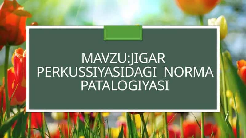 Mavzu:Jigar  perkuSsiyasidagi  norma patalogiyasi 1