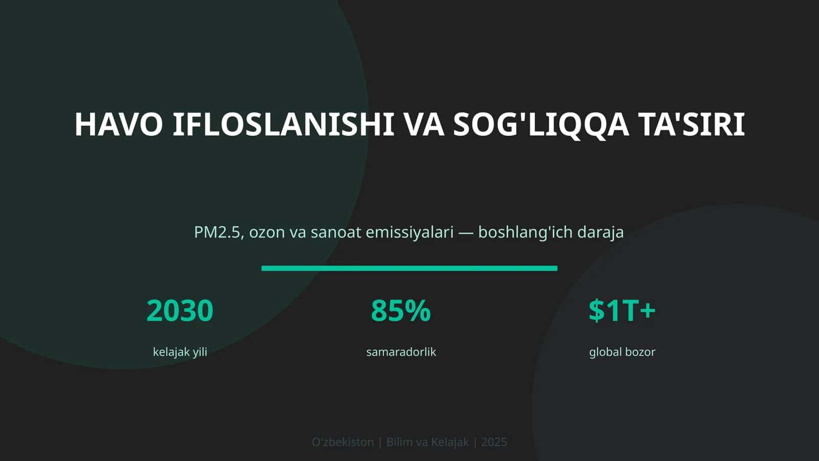 Havo Ifloslanishi va Sog'liqqa Ta'siri 1