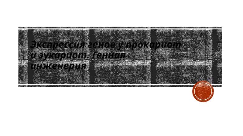 Экспрессия генов у прокариот иэукариот. Геннаяинженерия 1