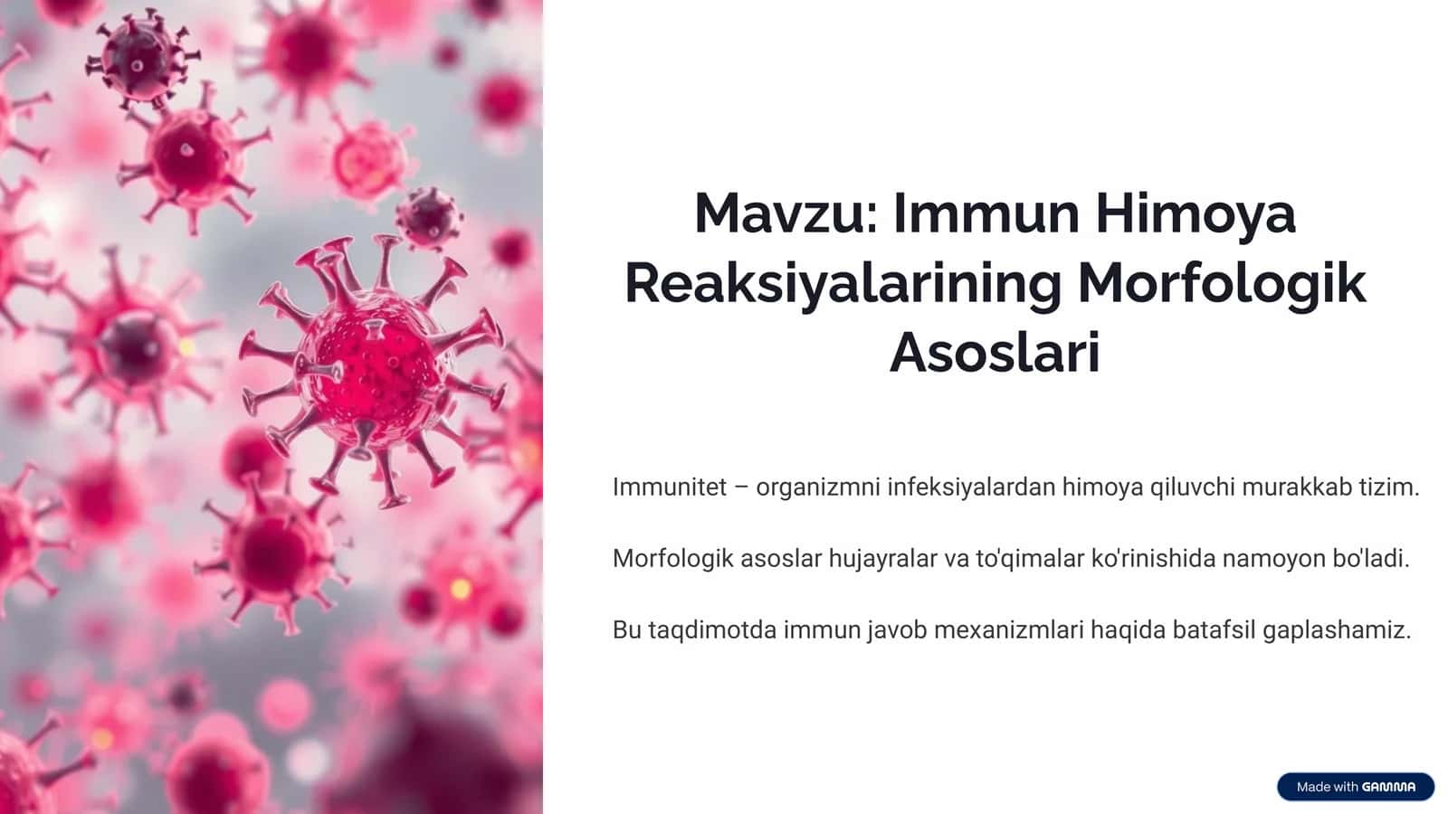 Immun Himoya Reaksiyalarining Morfologik Asoslari 1