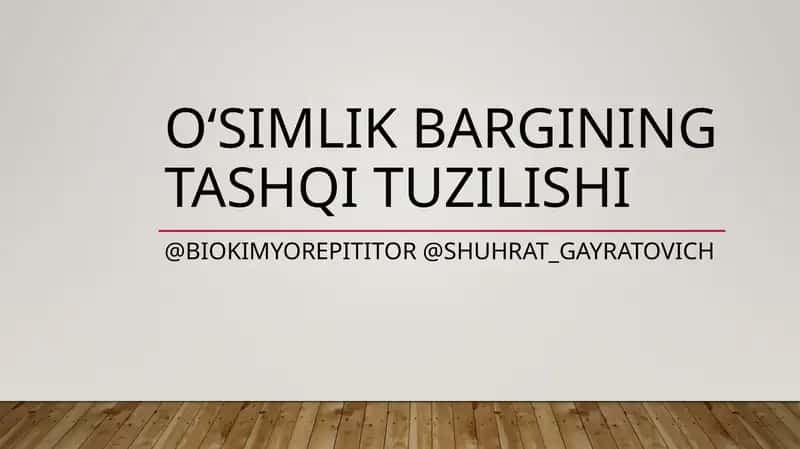 O‘simlik Bargining tashqi tuzilishi 1