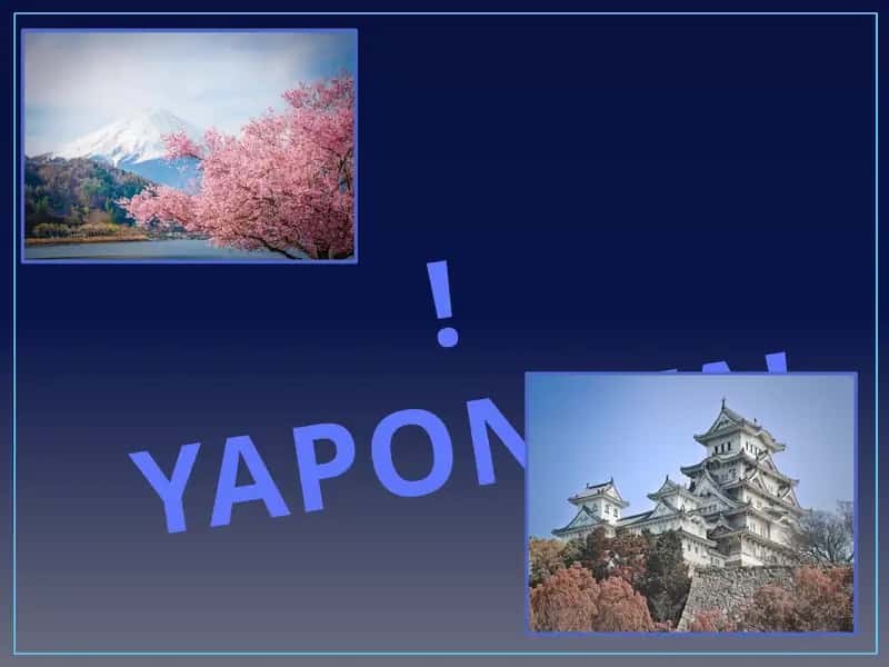 YAPONIYA 1