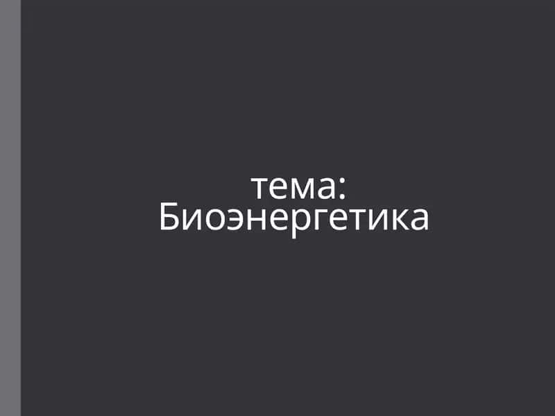 Биоэнергетика 1