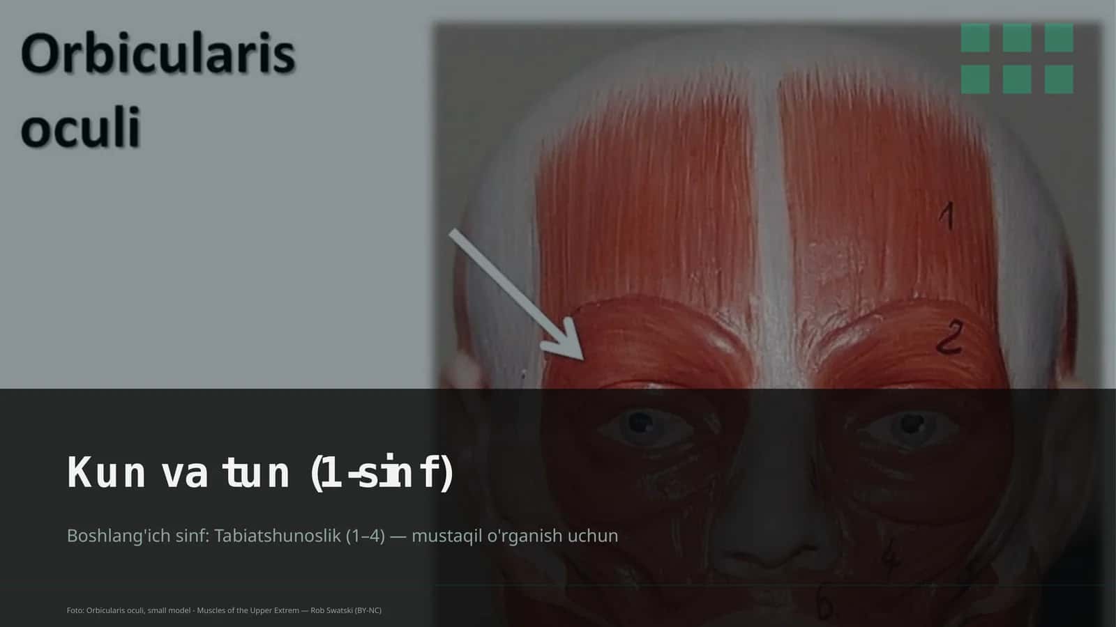 Kun va tun (1-sinf) 1