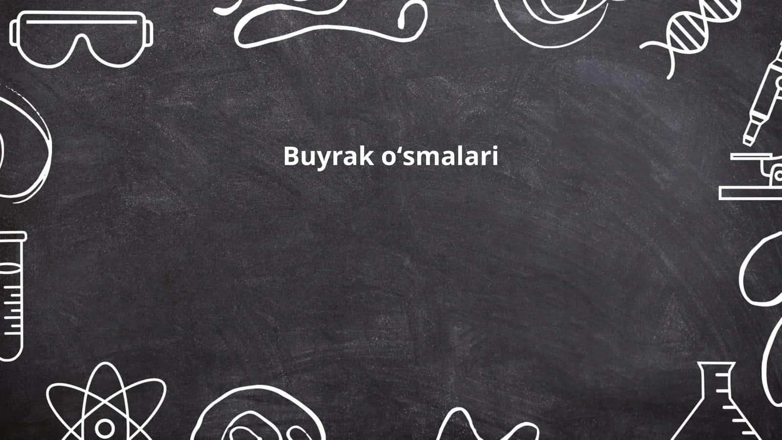 Buyrak oʻsmalari 1