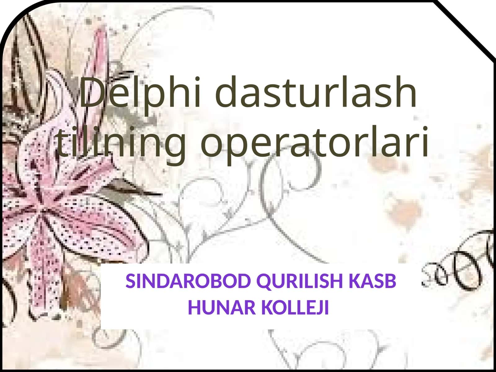 Delphidasturlashtiliningoperatorlari 1