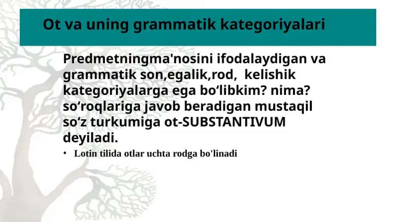 Lotin tilida otlar uchta rodga bo'linadi 1