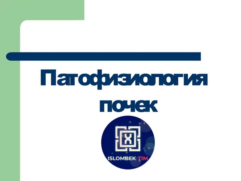 Патофизиология почек 1