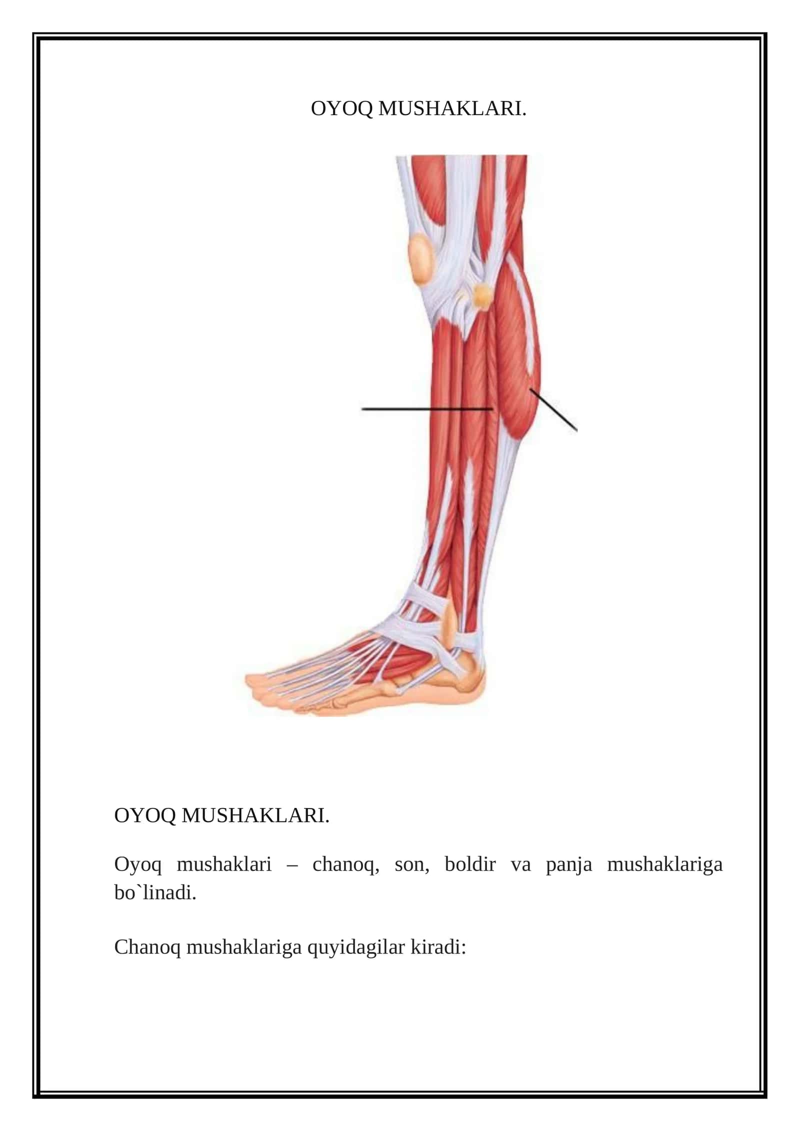 OYOQ MUSHAKLARI 1