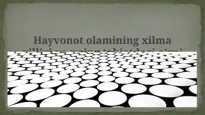 Hayvonot olami xilma-xilligi va uning tabiatdagi o'rni