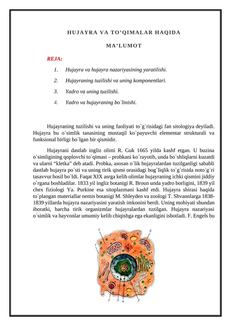 HUJAYRA VA TO’QIMALAR HAQIDA 1