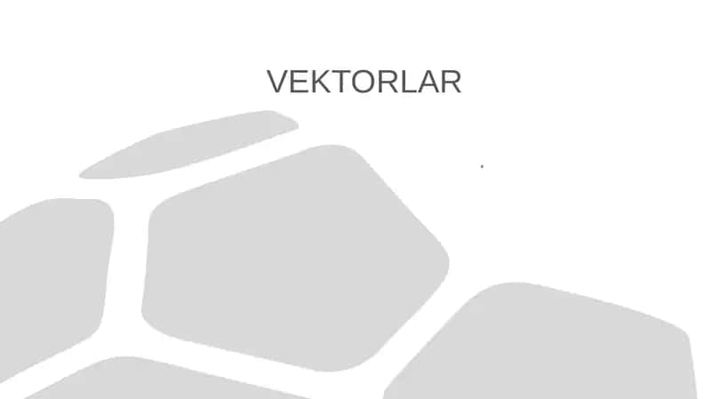 VEKTORLAR 1