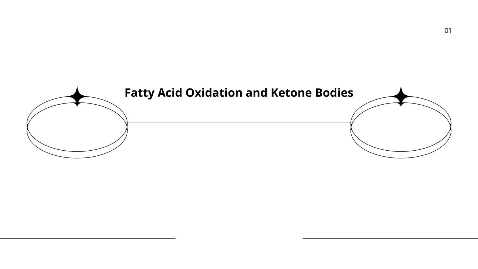 Fatty Acid Oxidation and Ketone Bodies 1