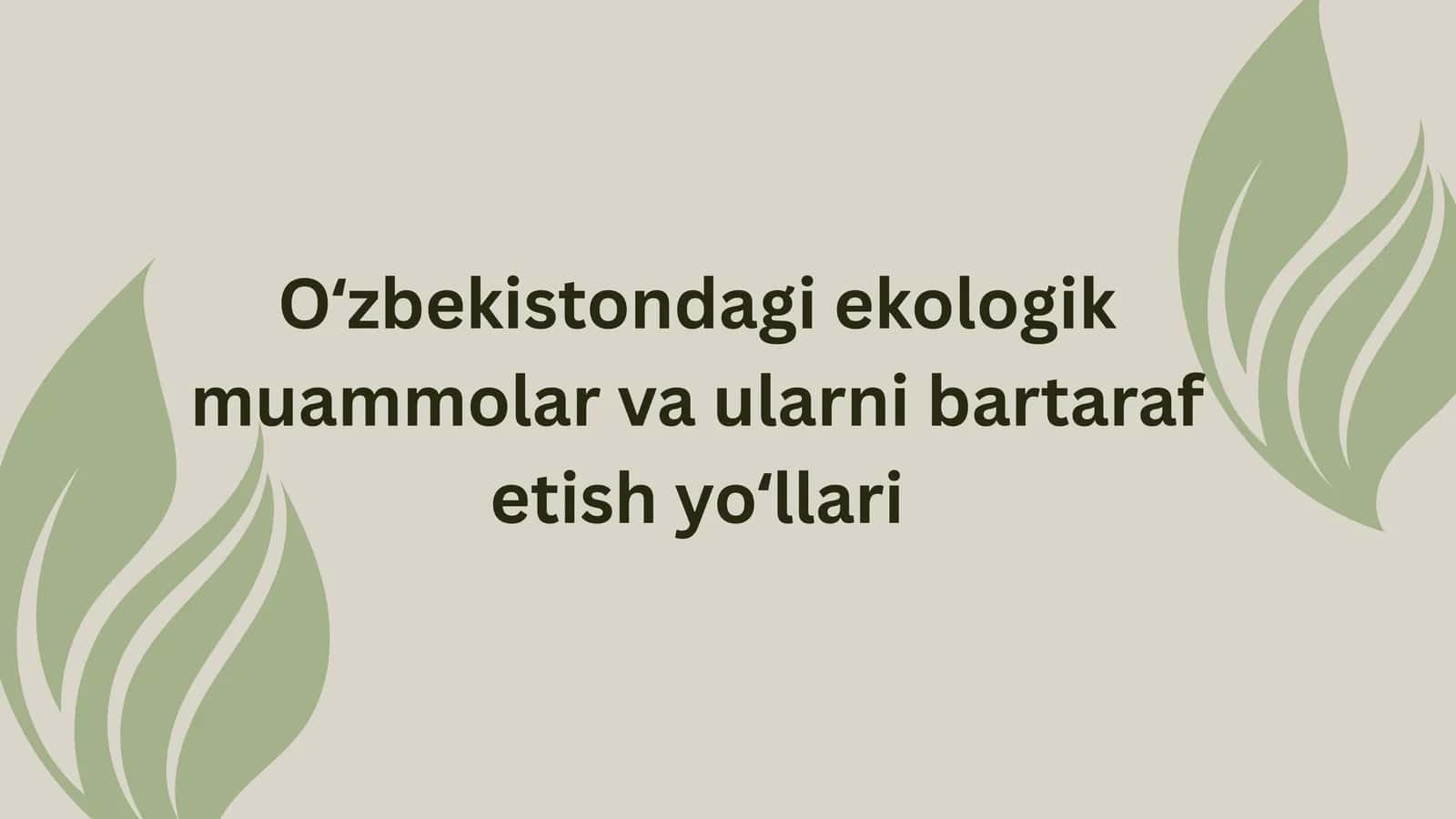 Oʻzbekistondagi ekologik muammolar va ularni bartaraf etish yoʻllari 1