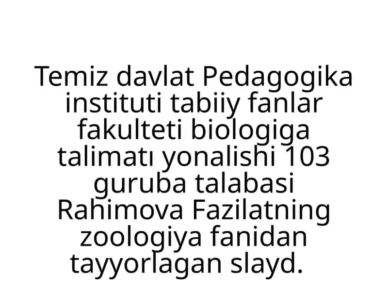 Qisqichbaqasimonlar 1