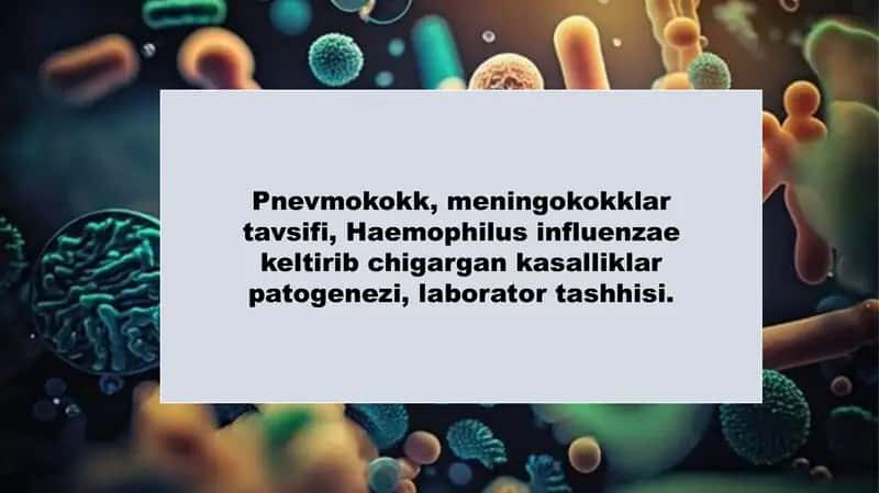 Pnevmokokk, meningokokklar, Haemophilus influenzae 1