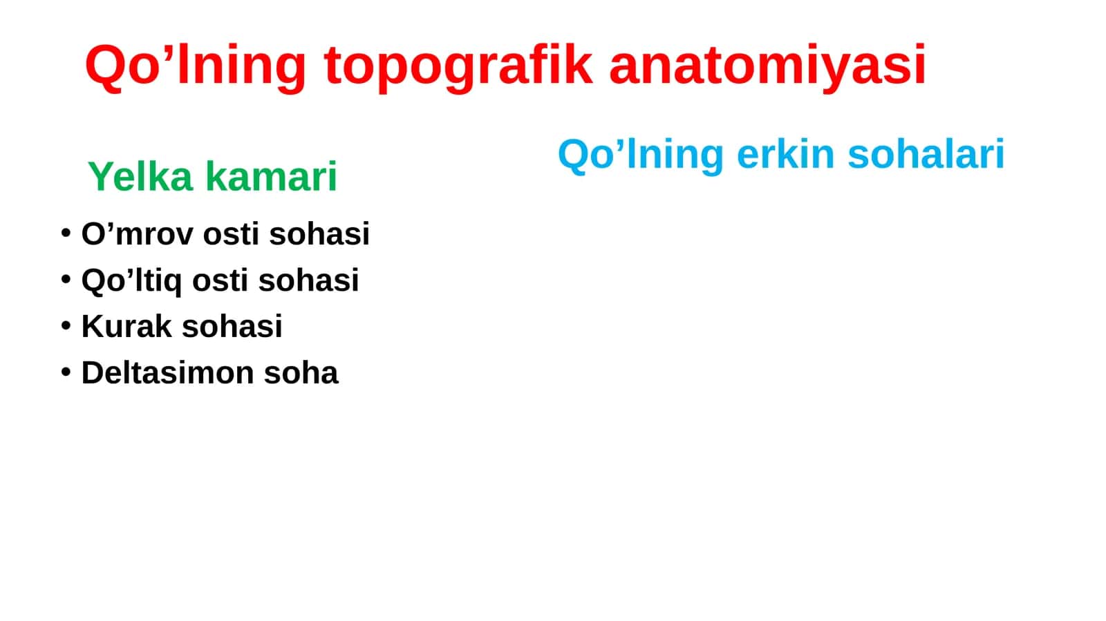 Yelka kamari 1