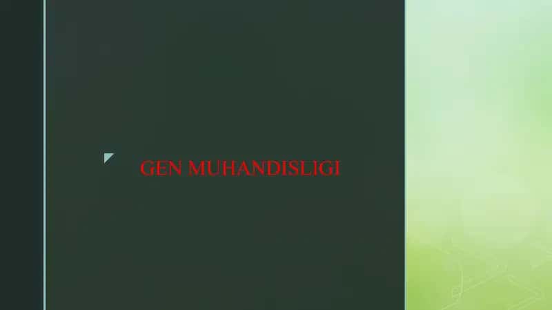 GEN MUHANDISLIGI 1