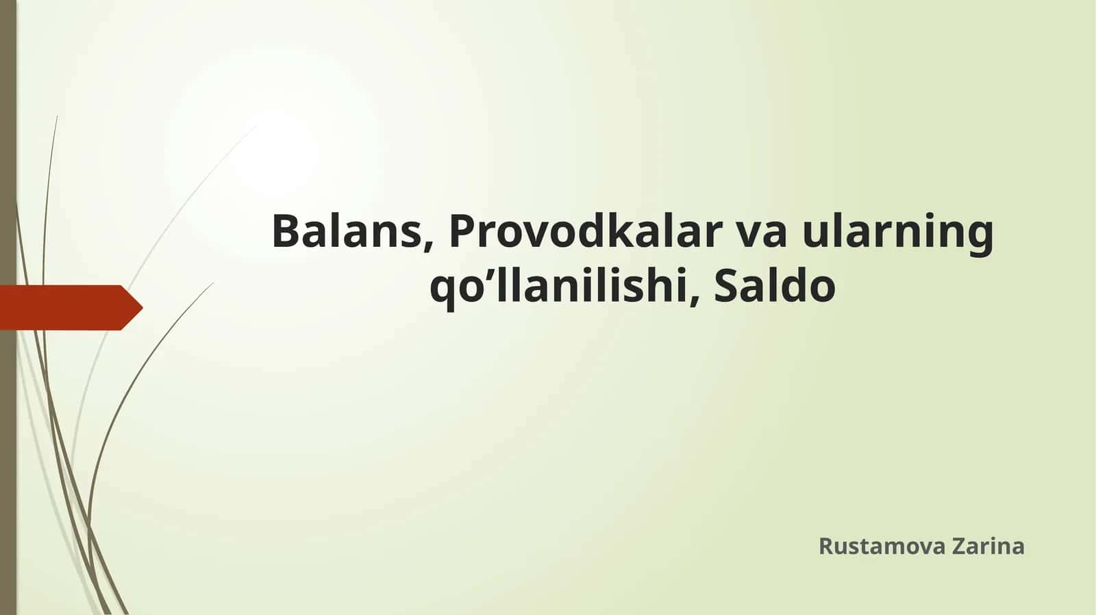 Balans, Provodkalar va ularning qo’llanilishi, Saldo 1