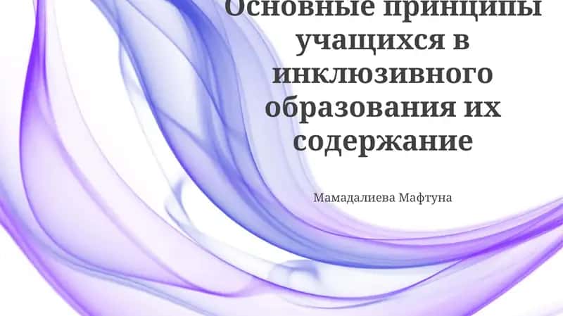Основные принципы учащихся в инклюзивного образования их содержание 1