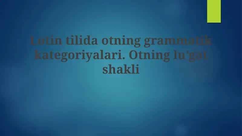 Otning grammatik kategoriyalari 1